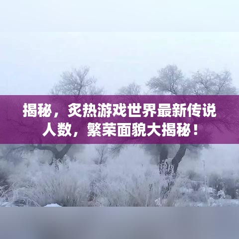 揭秘，炙热游戏世界最新传说人数，繁荣面貌大揭秘！