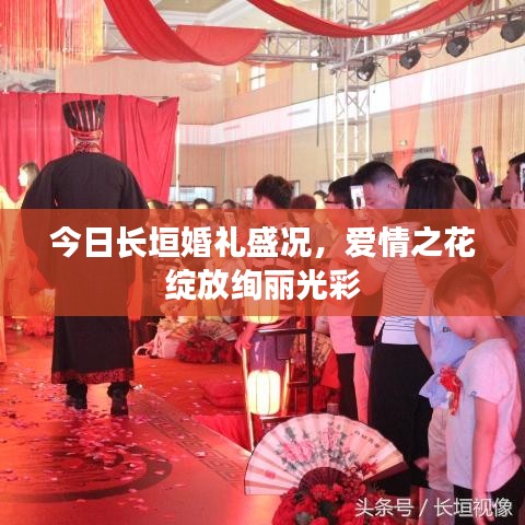 今日长垣婚礼盛况，爱情之花绽放绚丽光彩