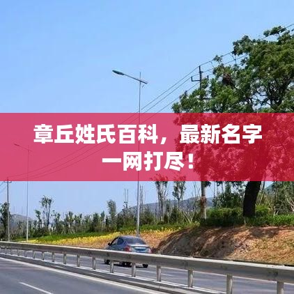 章丘姓氏百科，最新名字一网打尽！