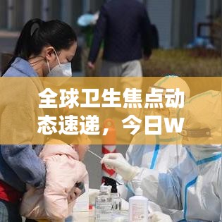 全球卫生焦点动态速递，今日WHO最新消息揭秘