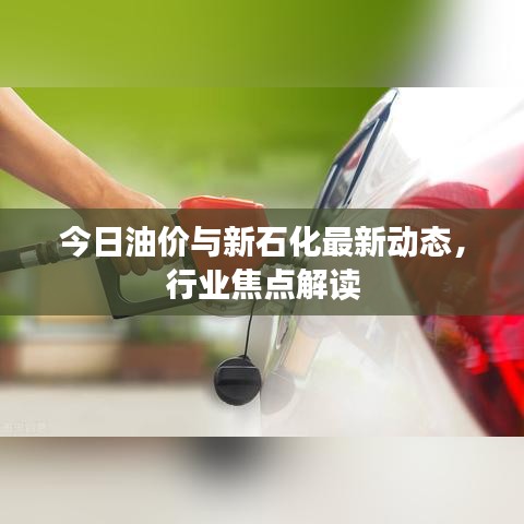 今日油价与新石化最新动态，行业焦点解读