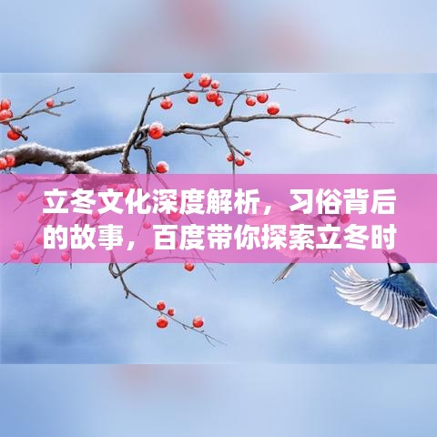 立冬文化深度解析，习俗背后的故事，百度带你探索立冬时节的知识之旅