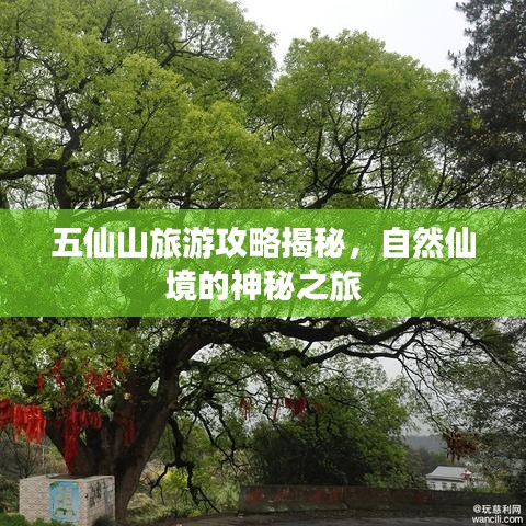 五仙山旅游攻略揭秘，自然仙境的神秘之旅