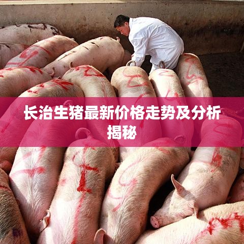 长治生猪最新价格走势及分析揭秘