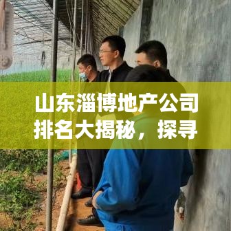 山东淄博地产公司排名大揭秘,探寻行业领军者的力量,引领市场风向标!