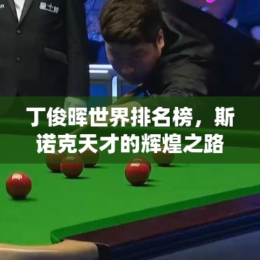 丁俊晖世界排名榜，斯诺克天才的辉煌之路揭秘