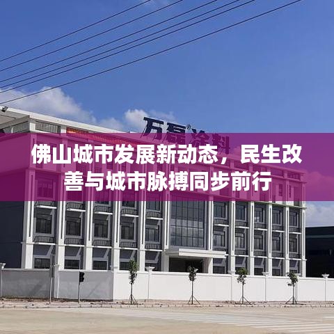 佛山城市发展新动态，民生改善与城市脉搏同步前行