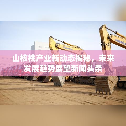 山核桃产业新动态揭秘，未来发展趋势展望新闻头条