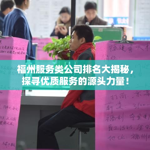 福州服务类公司排名大揭秘，探寻优质服务的源头力量！