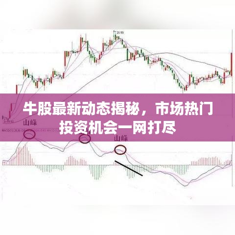 牛股最新动态揭秘，市场热门投资机会一网打尽