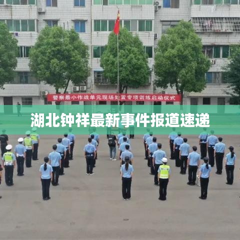 湖北钟祥最新事件报道速递