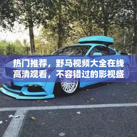 热门推荐，野马视频大全在线高清观看，不容错过的影视盛宴