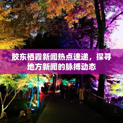 胶东栖霞新闻热点速递，探寻地方新闻的脉搏动态