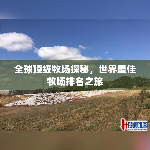 全球顶级牧场探秘，世界最佳牧场排名之旅