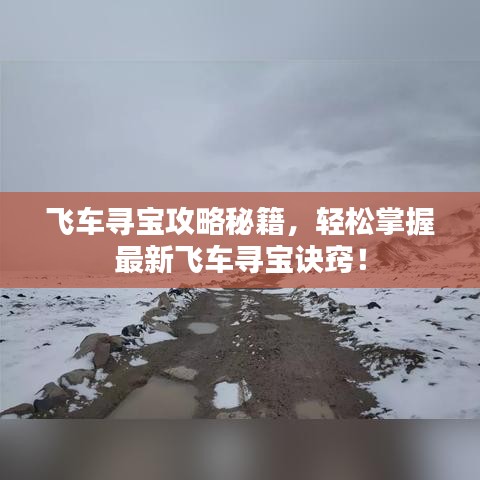 飞车寻宝攻略秘籍，轻松掌握最新飞车寻宝诀窍！