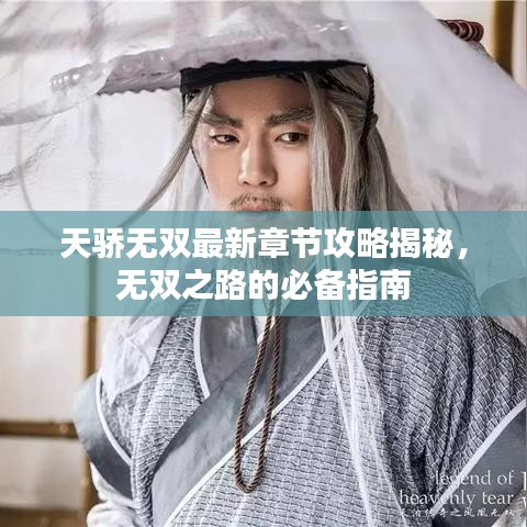 天骄无双最新章节攻略揭秘，无双之路的必备指南