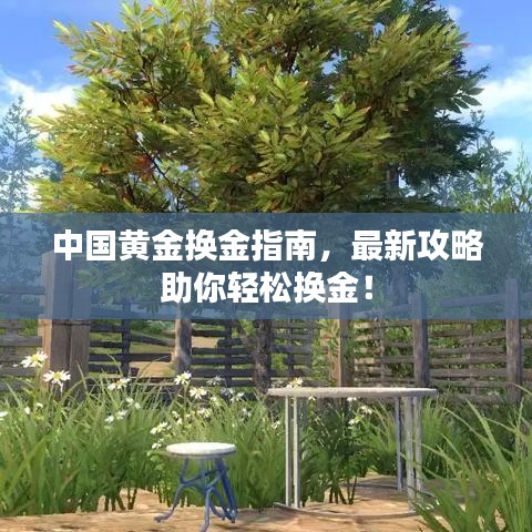 中国黄金换金指南，最新攻略助你轻松换金！