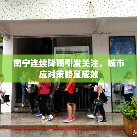 南宁连续降雨引发关注，城市应对策略显成效