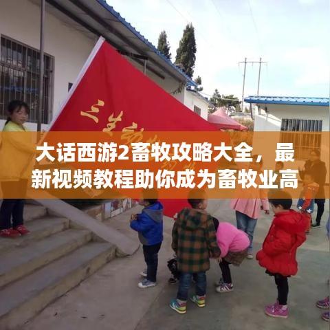 大话西游2畜牧攻略大全，最新视频教程助你成为畜牧业高手！