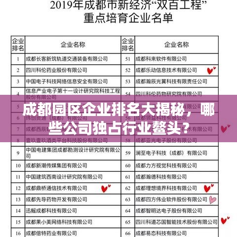 成都园区企业排名大揭秘，哪些公司独占行业鳌头？