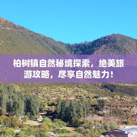 柏树镇自然秘境探索，绝美旅游攻略，尽享自然魅力！