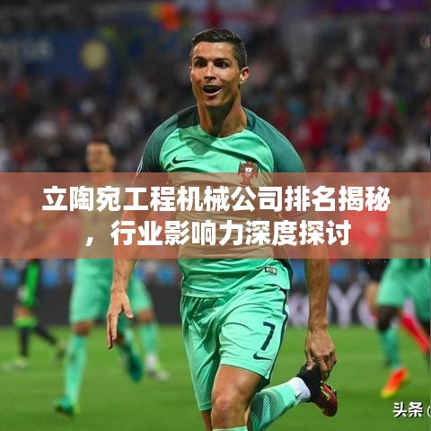 立陶宛工程机械公司排名揭秘，行业影响力深度探讨