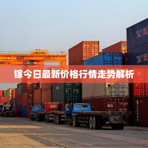 镓今日最新价格行情走势解析