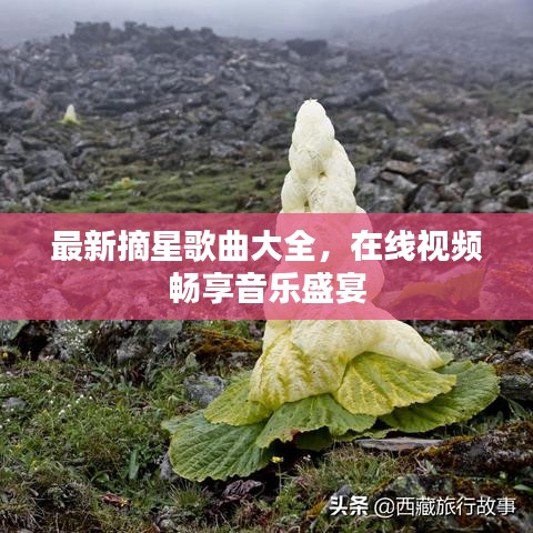 最新摘星歌曲大全,在线视频畅享音乐盛宴