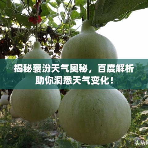 揭秘襄汾天气奥秘，百度解析助你洞悉天气变化！