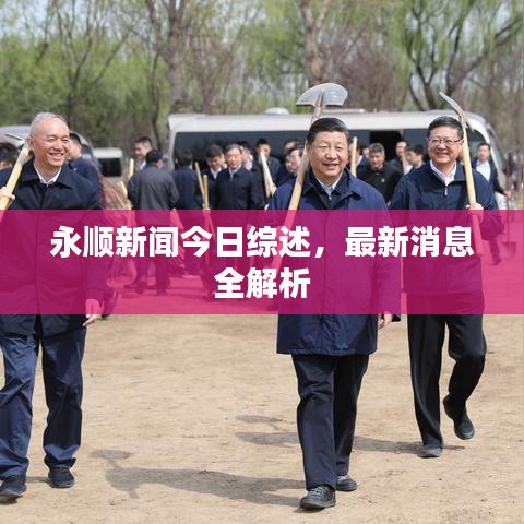 永顺新闻今日综述,最新消息全解析