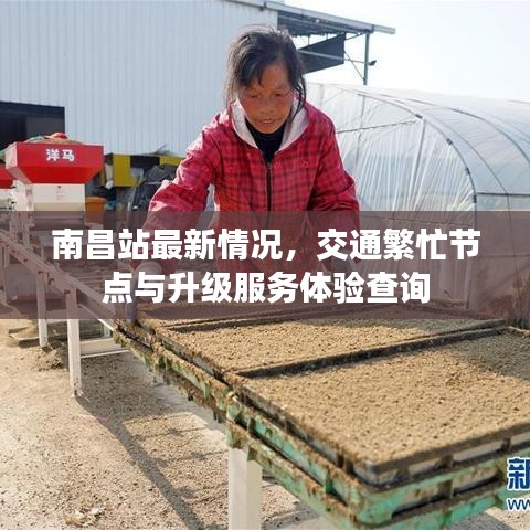 贵不期骄 第6页