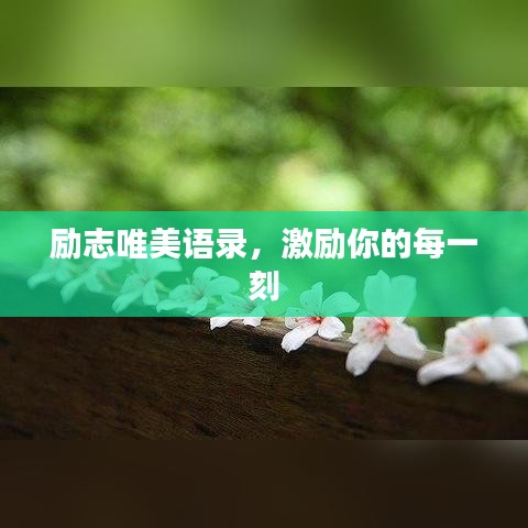 励志唯美语录,激励你的每一刻