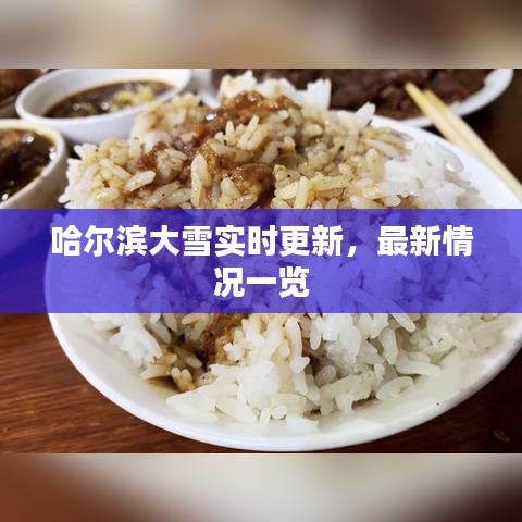 哈尔滨大雪实时更新，最新情况一览