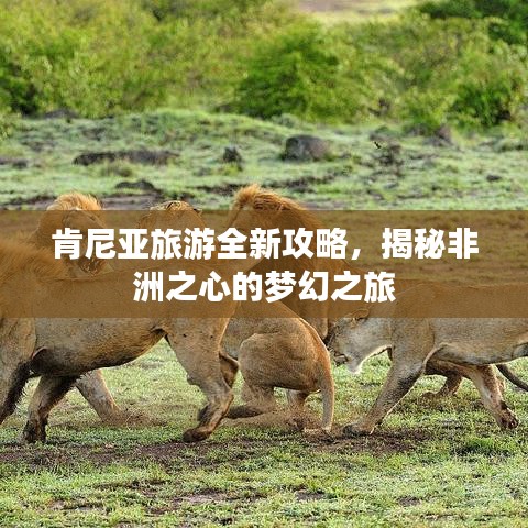 肯尼亚旅游全新攻略,揭秘非洲之心的梦幻之旅