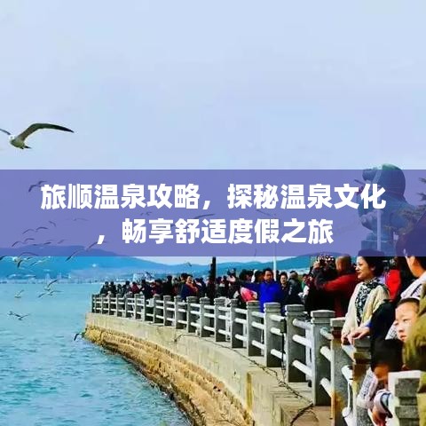 旅顺温泉攻略，探秘温泉文化，畅享舒适度假之旅