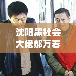 沈阳黑社会大佬郝万春案件最新进展曝光