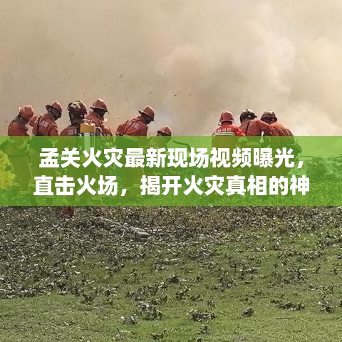 孟关火灾最新现场视频曝光，直击火场，揭开火灾真相的神秘面纱