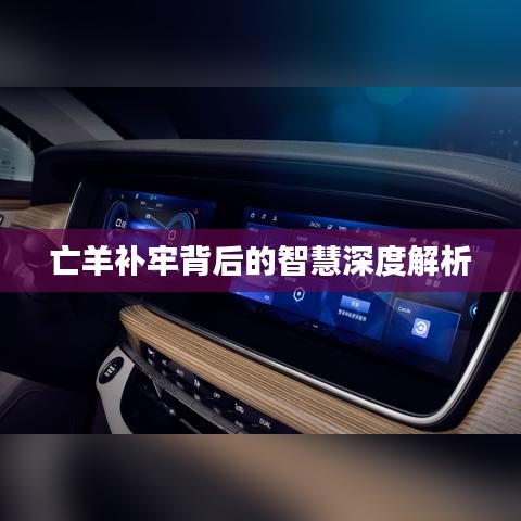 亡羊补牢背后的智慧深度解析