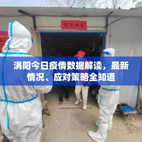 涡阳今日疫情数据解读,最新情况、应对策略全知道