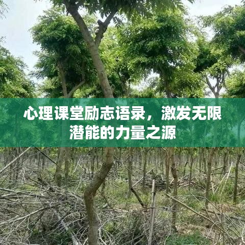 心理课堂励志语录,激发无限潜能的力量之源