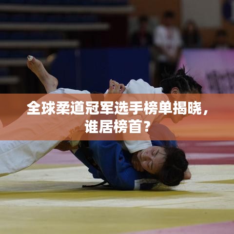 全球柔道冠军选手榜单揭晓，谁居榜首？