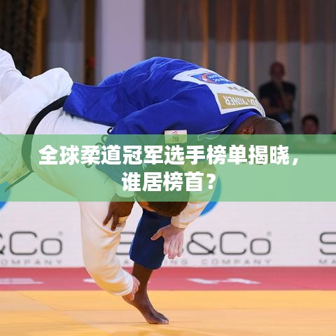 全球柔道冠军选手榜单揭晓,谁居榜首?