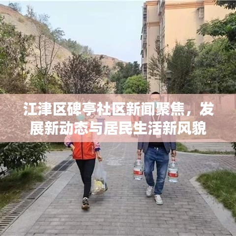 江津区碑亭社区新闻聚焦,发展新动态与居民生活新风貌