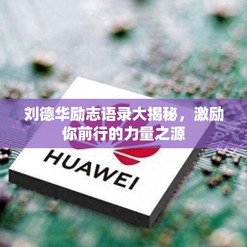 刘德华励志语录大揭秘，激励你前行的力量之源