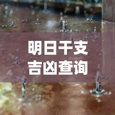 明日干支吉凶查询表大揭秘，掌握运势，洞悉未来命运走向