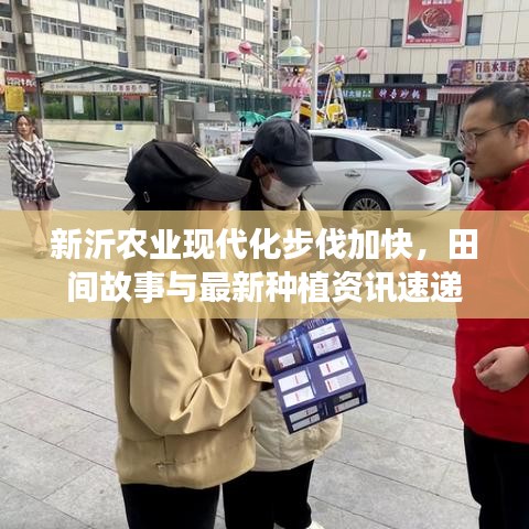 新沂农业现代化步伐加快，田间故事与最新种植资讯速递
