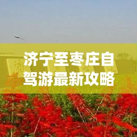 济宁至枣庄自驾游最新攻略路线指南