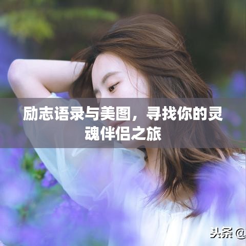 励志语录与美图，寻找你的灵魂伴侣之旅