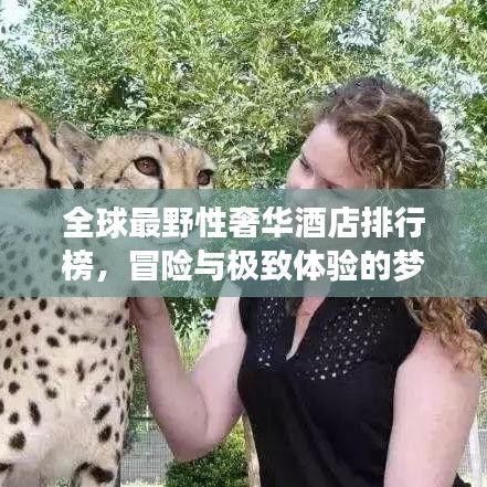 全球最野性奢华酒店排行榜，冒险与极致体验的梦幻之旅