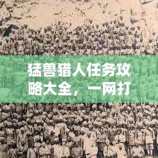 猛兽猎人任务攻略大全，一网打尽最新攻略！